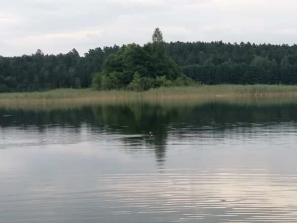 Eko-Fish Villa Miastko Exteriör bild