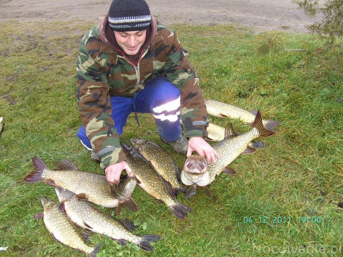 Eko-Fish Villa Miastko Exteriör bild