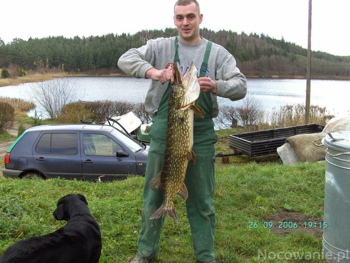 Eko-Fish Villa Miastko Exteriör bild